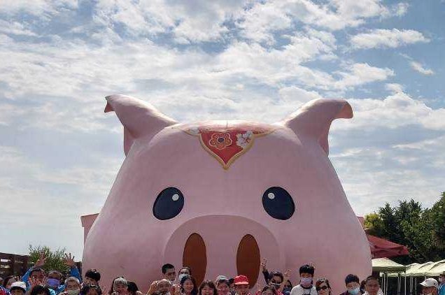 ☀三隻小豬體驗營☀