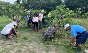 💖據點小故事-我們的日常💖