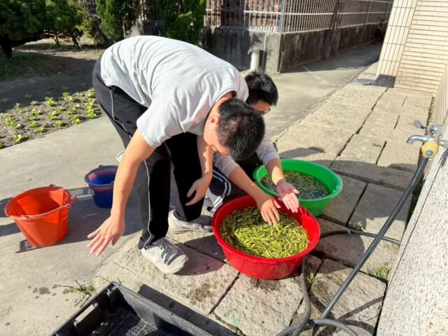 毛豆代工作業02_0