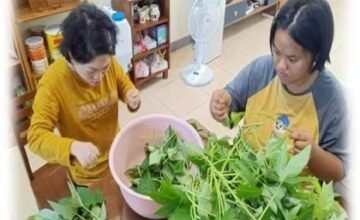 💖據點小故事-🥬 勵智家園的小小菜園：從產地到餐桌最近的距離！🥗💖